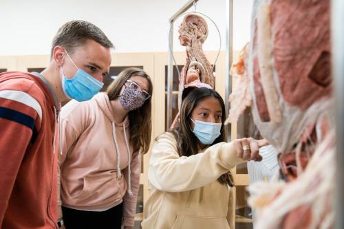 Students exploring the plastinated specimen
